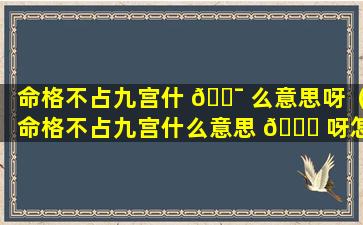 命格不占九宫什 🐯 么意思呀（命格不占九宫什么意思 🐒 呀怎么解释）